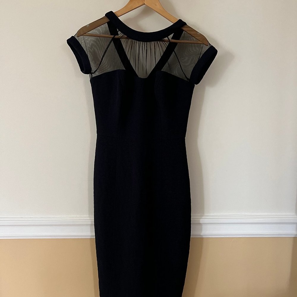 Maggy London Illusion Dress